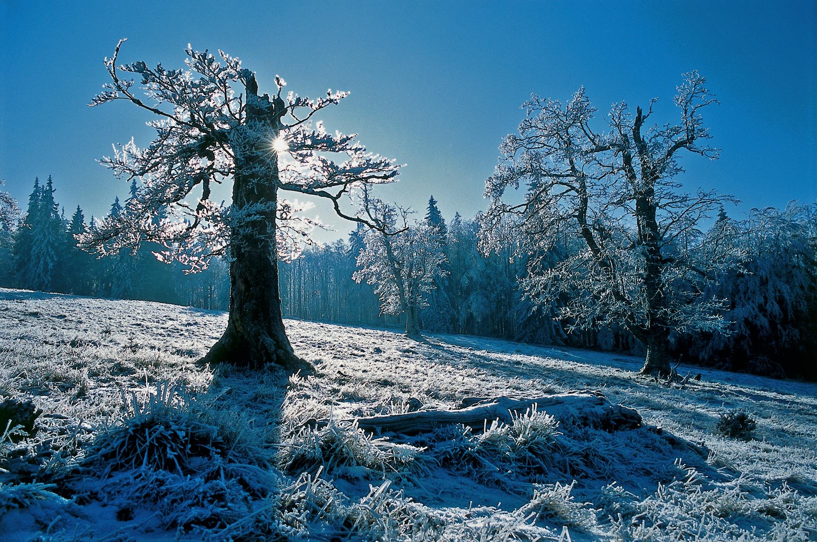 Almschachten im Nationalpark Bayerischer Wald